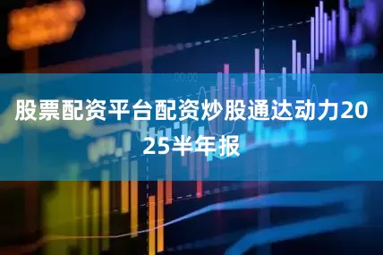 股票配资平台配资炒股通达动力2025半年报